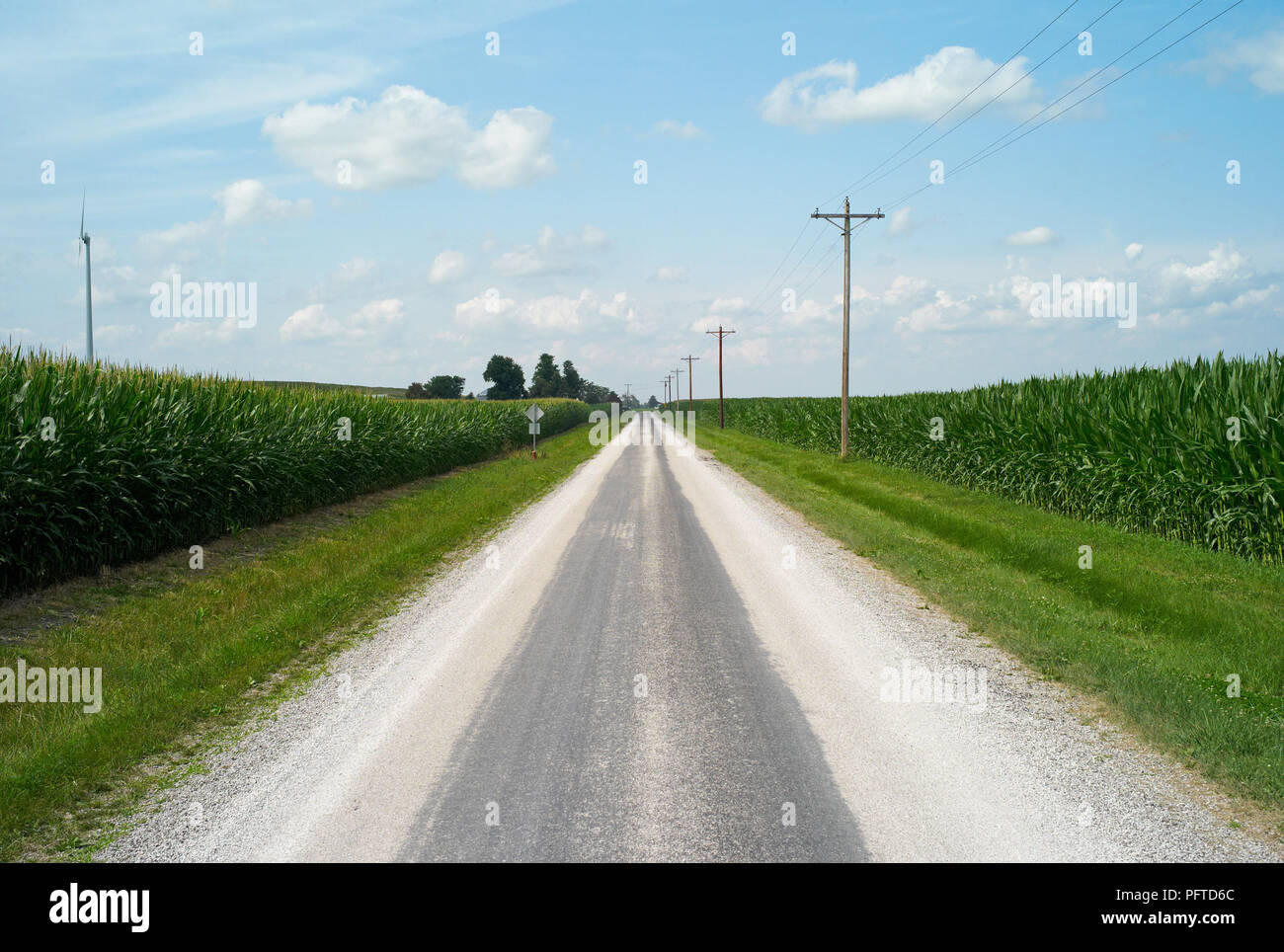 La storica US Route 66 Conduce Direttamente all'Horizon con I campi di mais verdi Adiacenti, Illinois, Stati Uniti Foto Stock