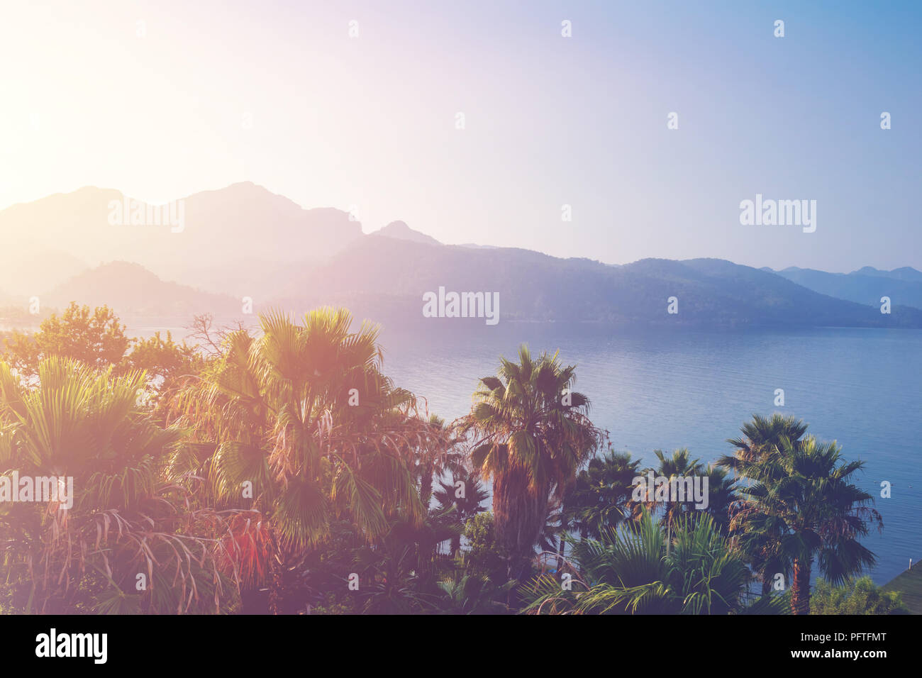 Alberi di palma tropicali contro Alba e montagne. Concetto di estate, sfondo tropicale. Foto Stock