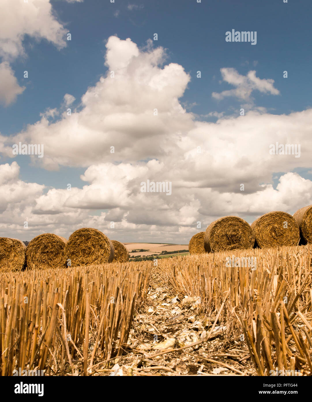 Round le balle di paglia in gesso di un campo di grano sul South Downs Way, Amberley, West Sussex. Alta downland in lontananza sotto nuvoloso cielo blu. Foto Stock