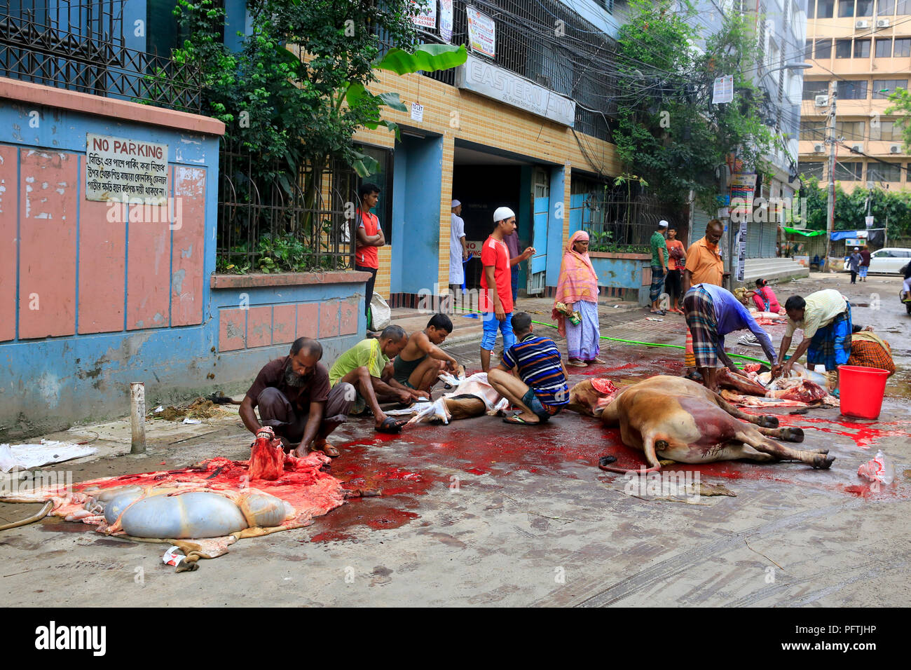 I musulmani del Bangladesh abbattere i loro animali su strada di Dacca, capitale del Bangladesh, il primo giorno di Eid- Ul-Azha. Dacca, Banglades Foto Stock