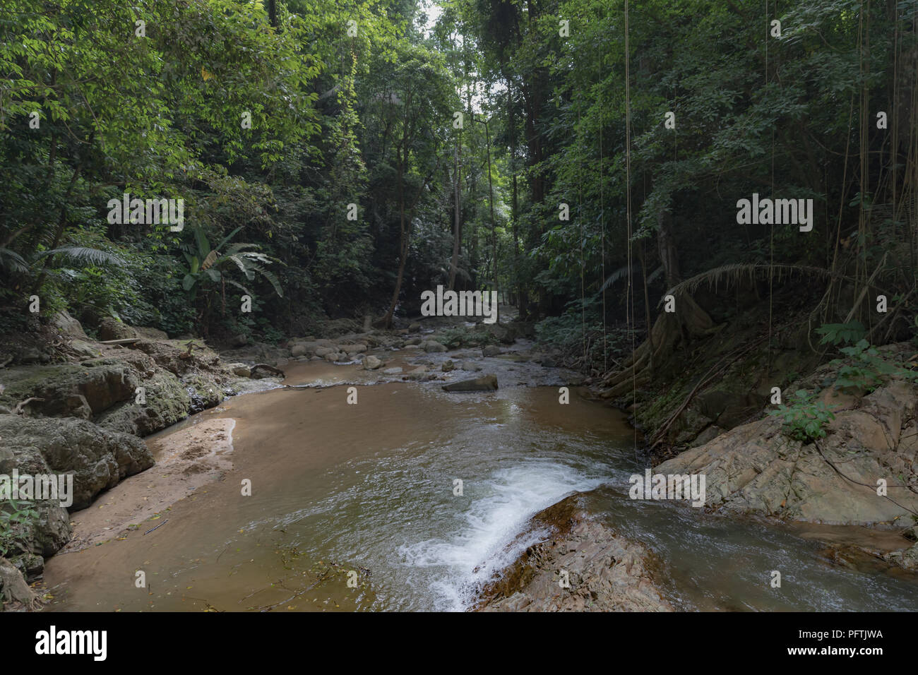 Giungla e cascata a Phnom bencha National Park Krabi Thailandia Foto Stock