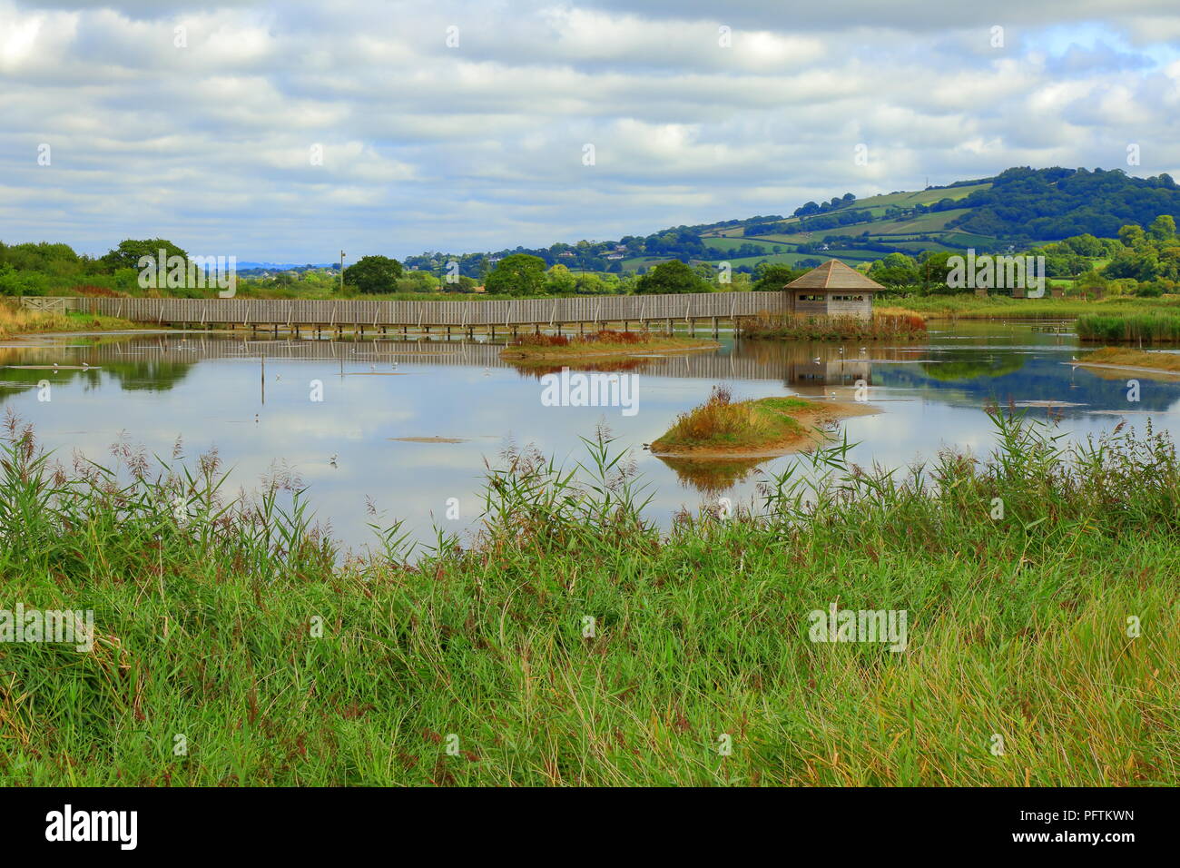 Buco nero Marsh parte di Seaton zone umide nella Riserva Naturale del East Devon Foto Stock