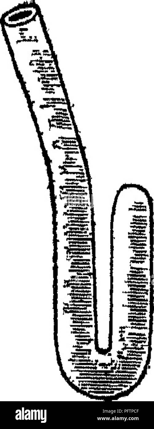 . Batteriologia e micologia degli alimenti. Il cibo. Apparecchiatura batteriologico Durham tubo era più efficiente ma con le diluizioni superiori del tubo di Smith hanno dato maggiori risultati coerenti. Browne e Ackman (1917) e Browne (1917) hanno dichiarato che i seguenti fattori provocano variazioni nella quantità di gas prodotta in lattosio peptone bile e Brodo lattosio: (1) la temperatura; (2) tempo di incubazione, (3) la reazione iniziale della coltura medmm; (4) la lunghezza del flaconcino capovolto, (5) Sorgente di bile; (6) l'assorbimento dei gas formati. Graves (1917) inverte il piccolo tubo interno nel corso di un asta di legno che solleva il tubo a dist Foto Stock