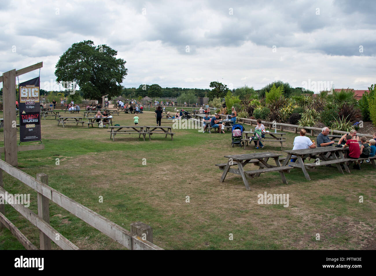 La gente seduta presso l'area attrezzata con tavoli e posti a sedere per i visitatori del Yorkshire Wildlife Park, Doncaster, South Yorkshire Regno Unito Foto Stock