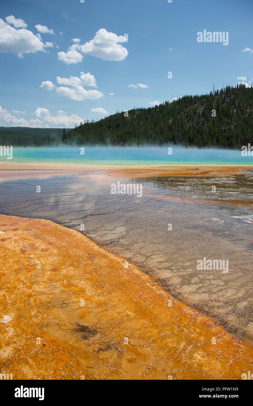 Grand Prismatic primavera calda al Parco Nazionale di Yellowstone Foto Stock