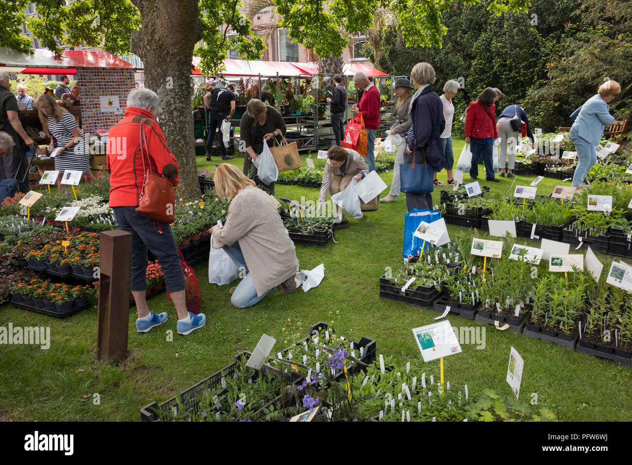 Leiden, Paesi Bassi - 12 Maggio 2018: annuale il mercato dei fiori con impianti speciali nell'Hortus Botanicus Foto Stock
