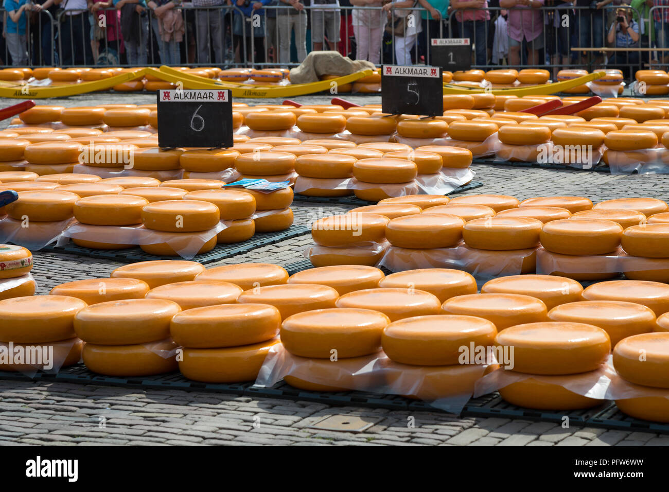 Alkmaar, Paesi Bassi - 01 Giugno 2018: le righe di una pila di rotonda gialla formaggi Gouda presso il mercato del formaggio Foto Stock