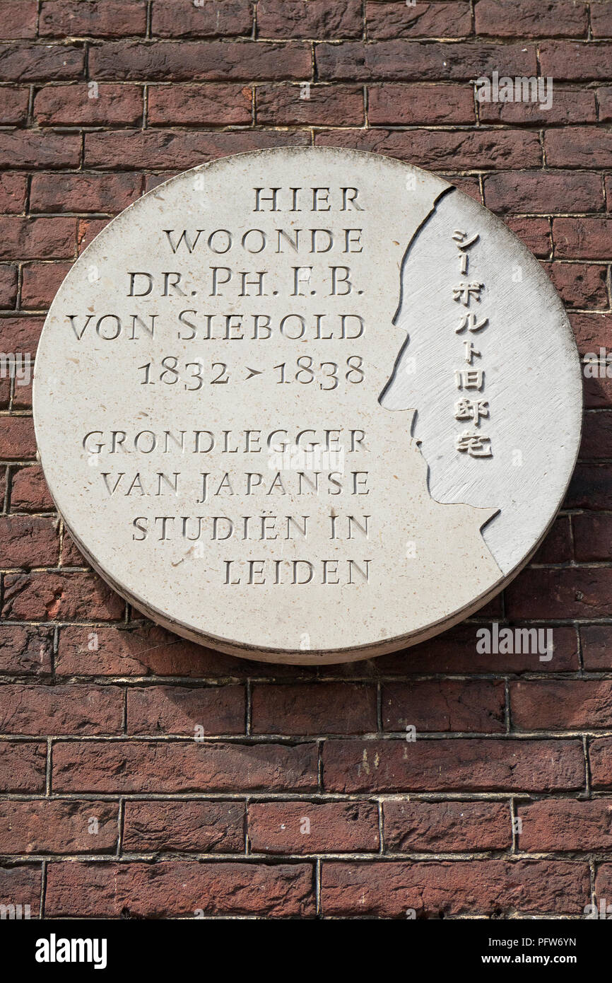 Leiden, Paesi Bassi - Luglio 17, 2018: Lapide dicendo in questa casa viveva il sig. von Siebold, fondatore di studi giapponesi in Leiden Foto Stock