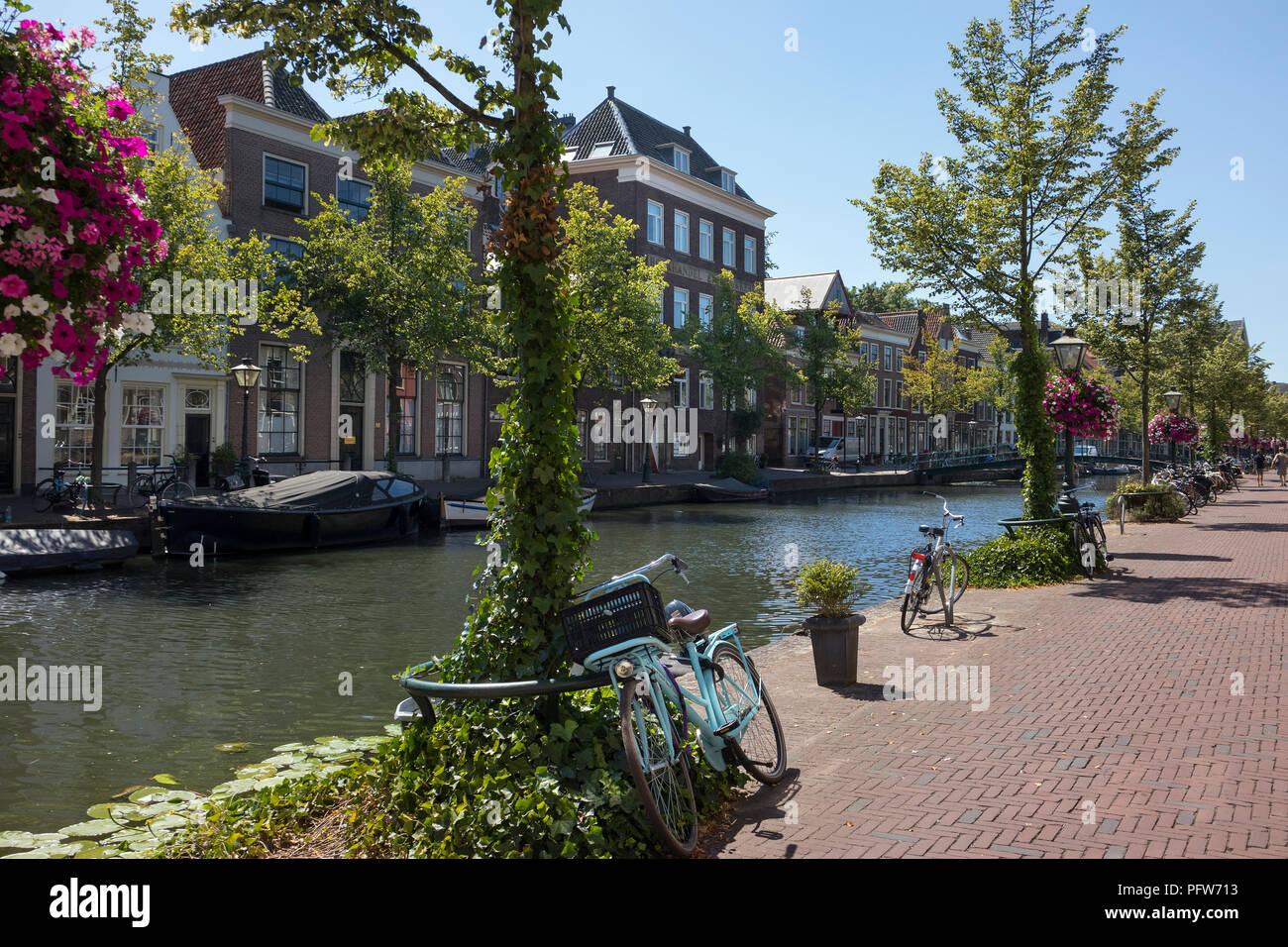Leiden, Paesi Bassi - 3 Agosto 2018: vista su un Leiden storico Canal Street e in estate chiamato Oude Rijn Foto Stock