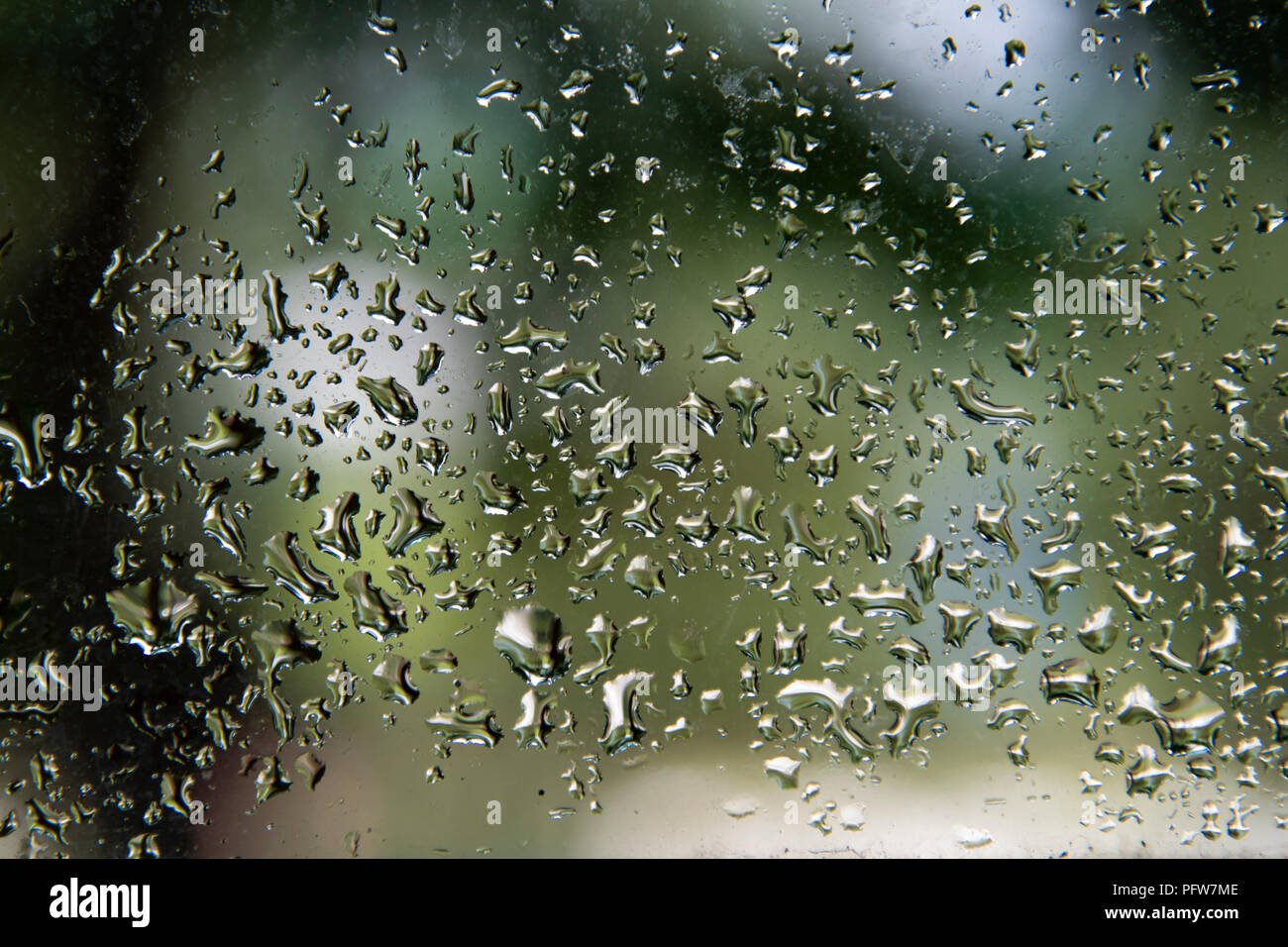 Gocce di acqua su una finestra Foto Stock