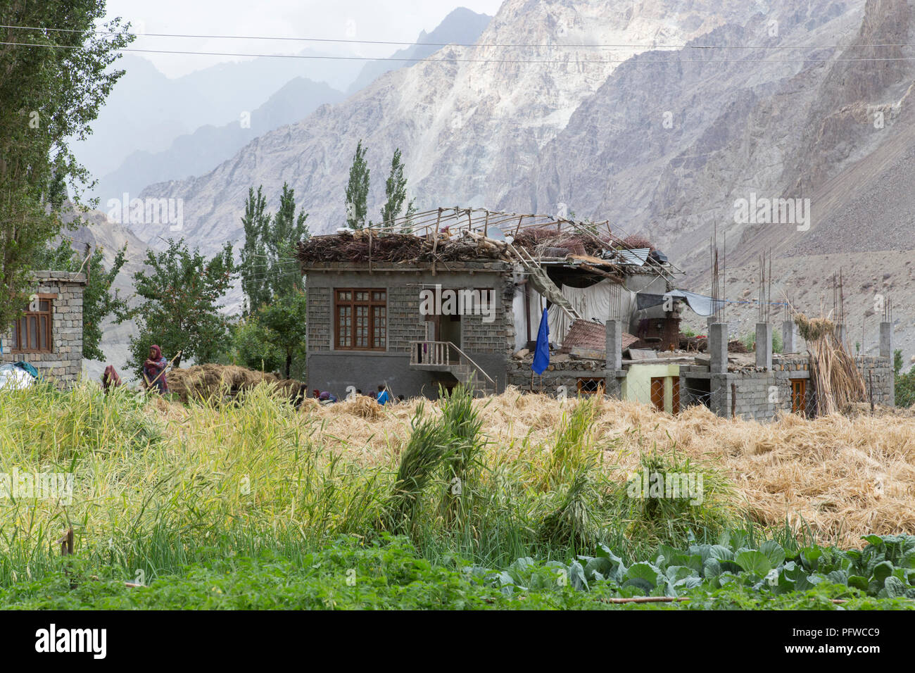 Campi coltivati e un semi-casa costruita nel villaggio Turtuk, Shyok valley, Ladakh, Jammu e Kashmir India Foto Stock