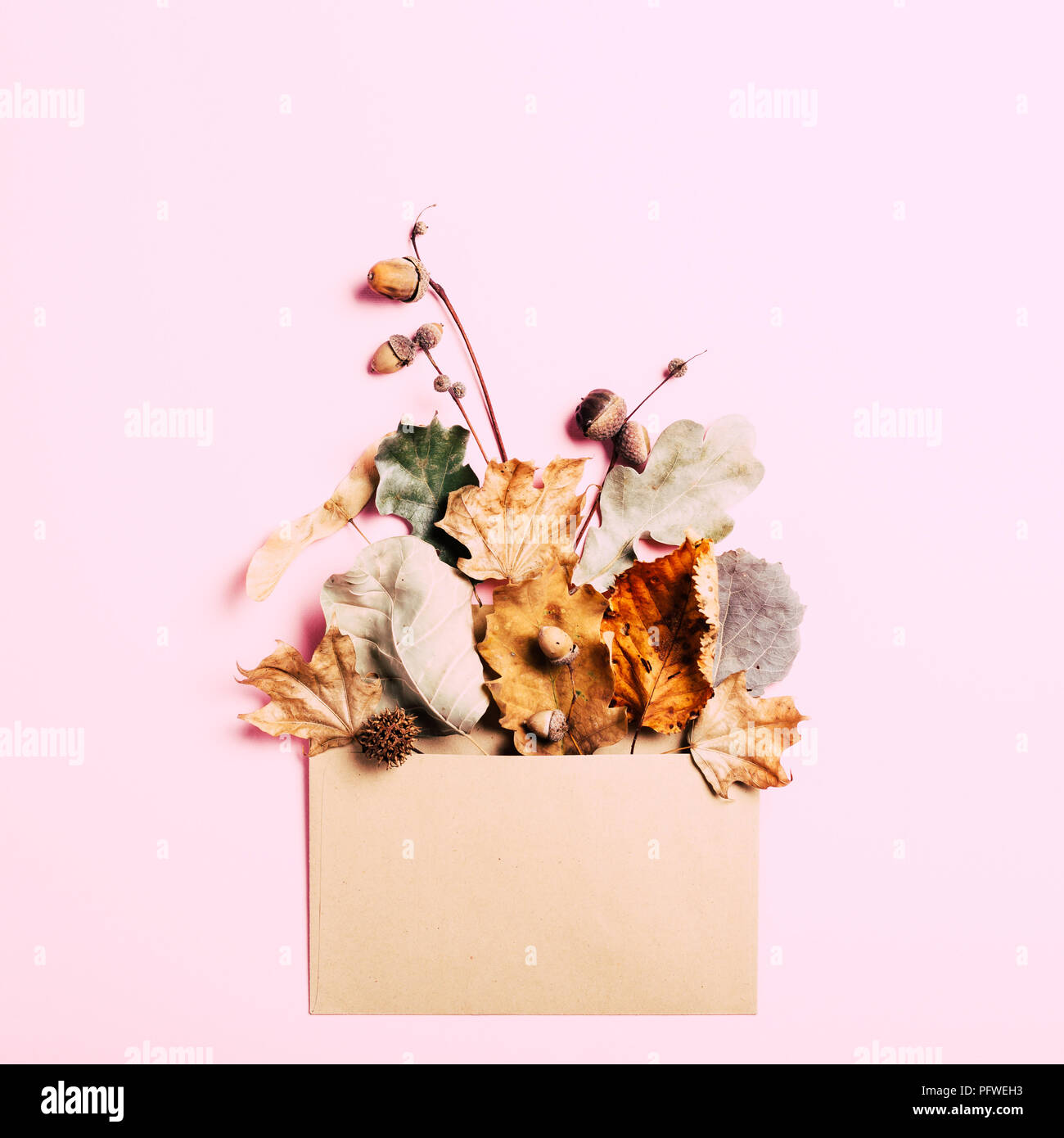 Foglie secche in kraft avvolgono su sfondo rosa. Concetto di autunno card. Foto Stock