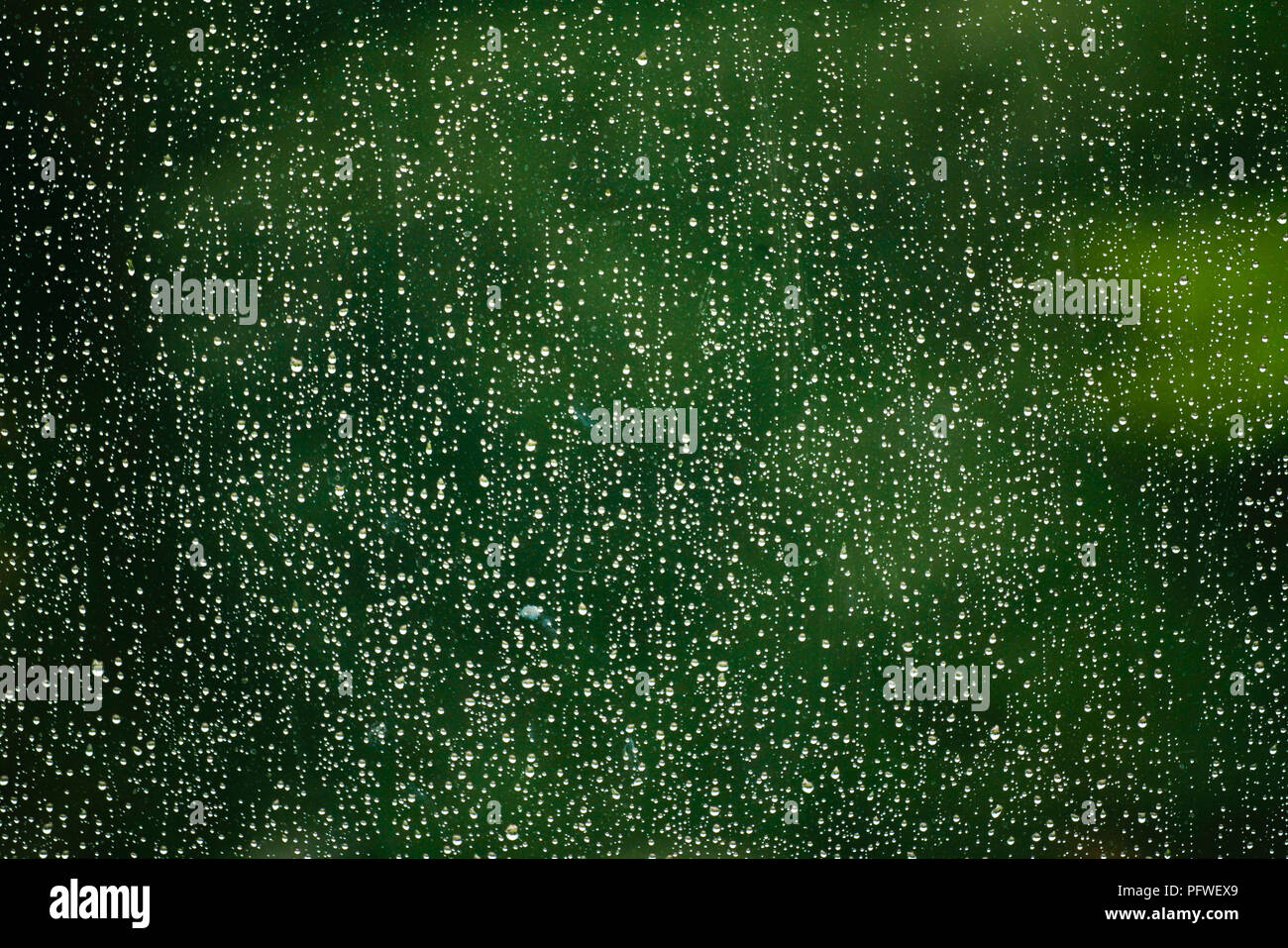 Montreal, Canada, 19 Agosto,2018.le gocce di pioggia su un vetro di finestra aganist uno sfondo verde.Credit:Mario Beauregard/Alamy Live News Foto Stock