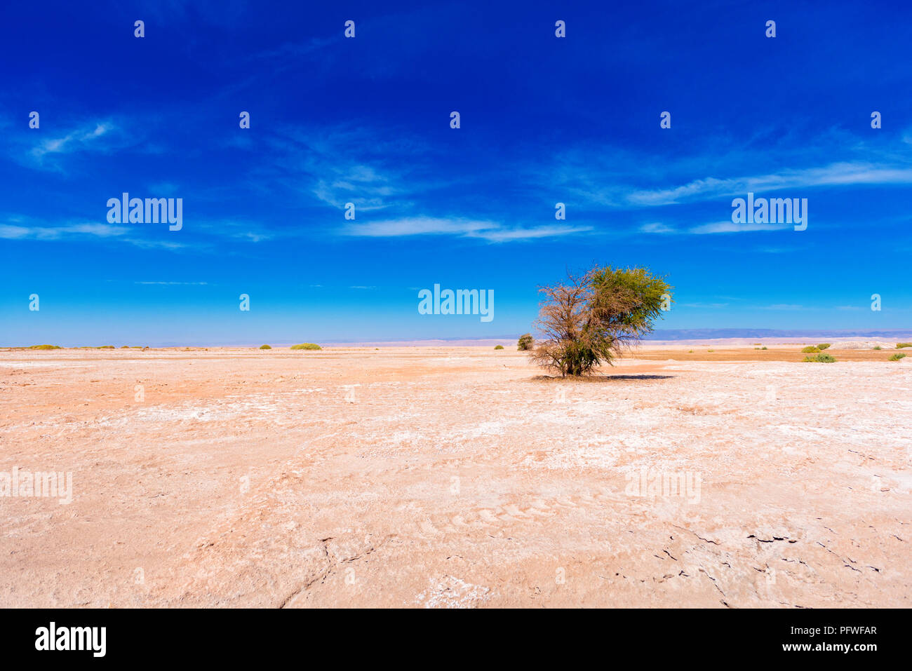 Paesaggio nel deserto di Atacama, Cile. Copia spazio per il testo Foto Stock