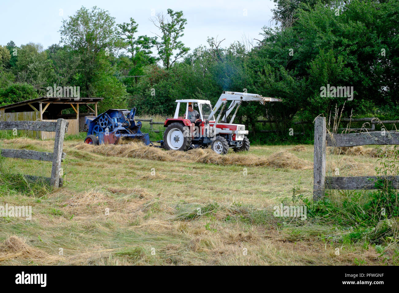 uomo che utilizza il trattore steyr 650 e ha rinnovato la vecchia macchina di imballaggio per raccogliere e imballare fieno in un campo zala contea ungheria Foto Stock