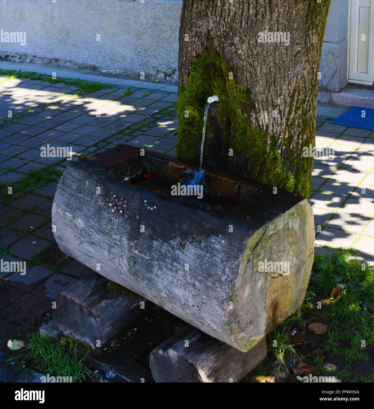 Una molla in esecuzione da un tronco di albero nella città di Kolašin Foto Stock