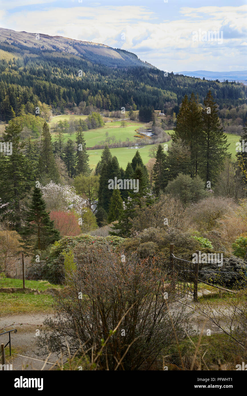 Vista del Firth of Clyde e Dunoon da Benmore Giardini Botanici. Dunoon Foto Stock
