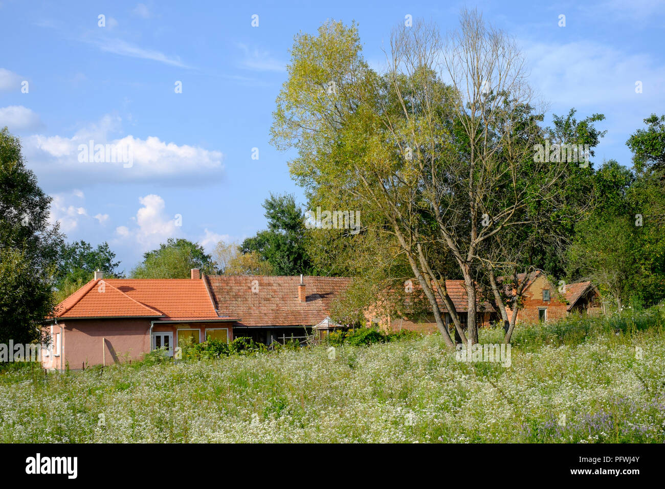Tipica tradizionale villaggio rurale casa Zala county Ungheria Foto Stock