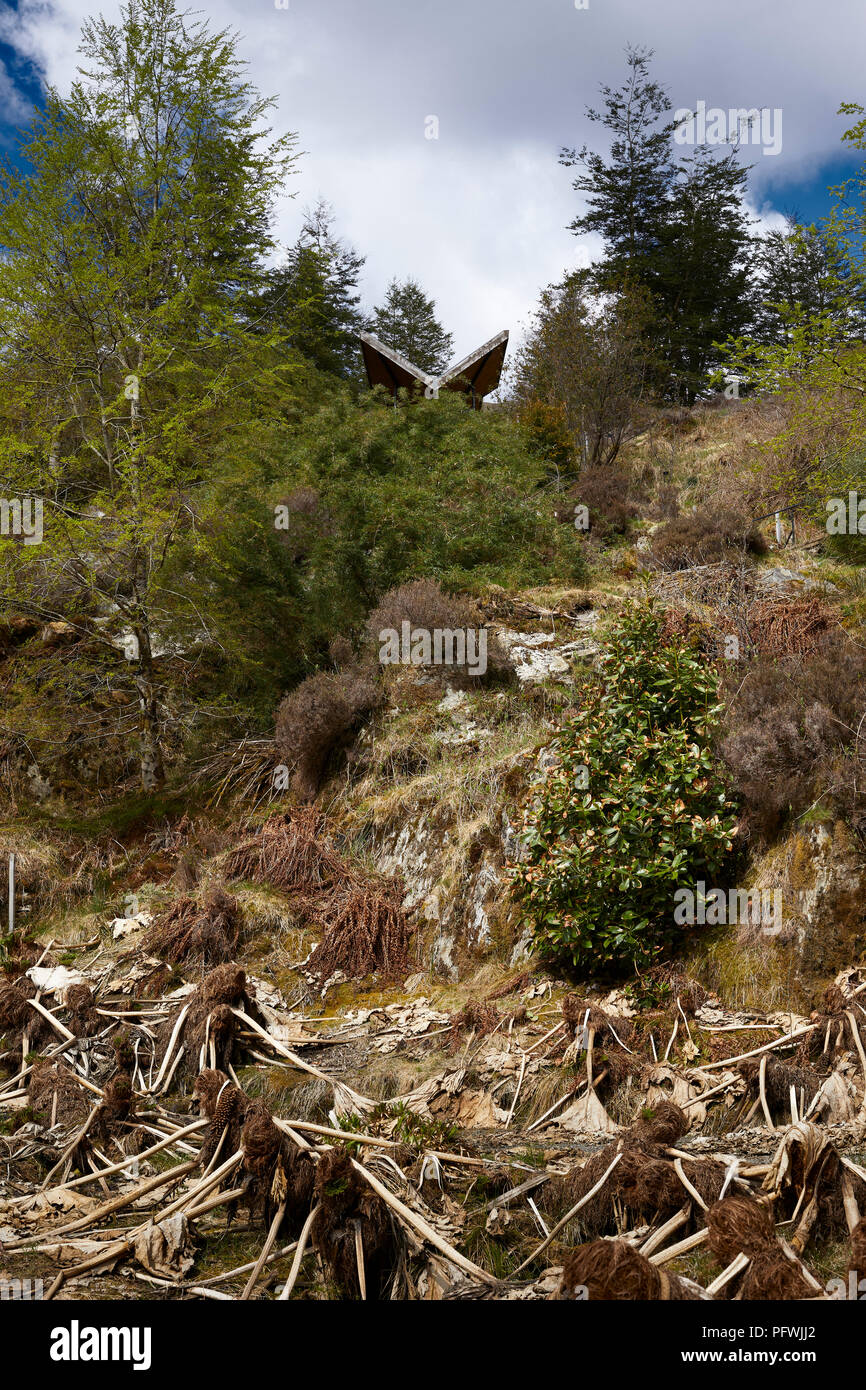 Condor Shelter in pioggia cilena area forestale di Benmore Giardini Botanici Foto Stock