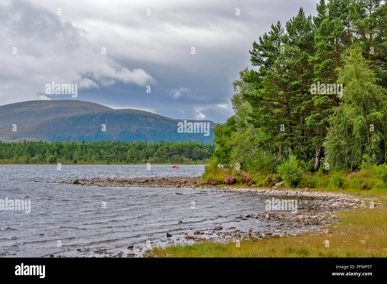 LOCH MORLICH vicino a Aviemore Scozia il litorale con alberi e canneti e rosso barca in acqua Foto Stock