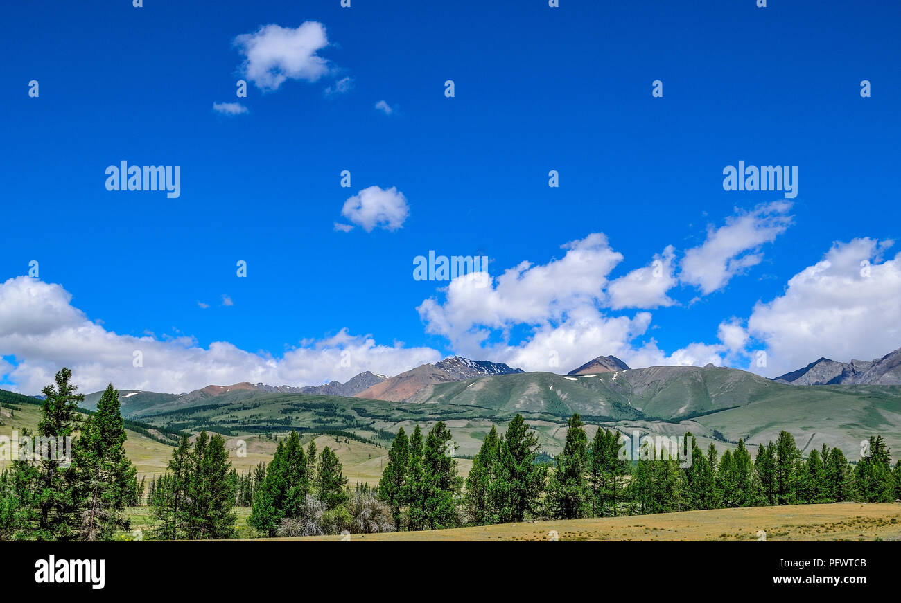 La steppa in valle di montagna e alberi radi al primo piano e la vista di Kuray Mountain Range sullo sfondo di montagne di Altai, Russia. Sunny estate landsca Foto Stock