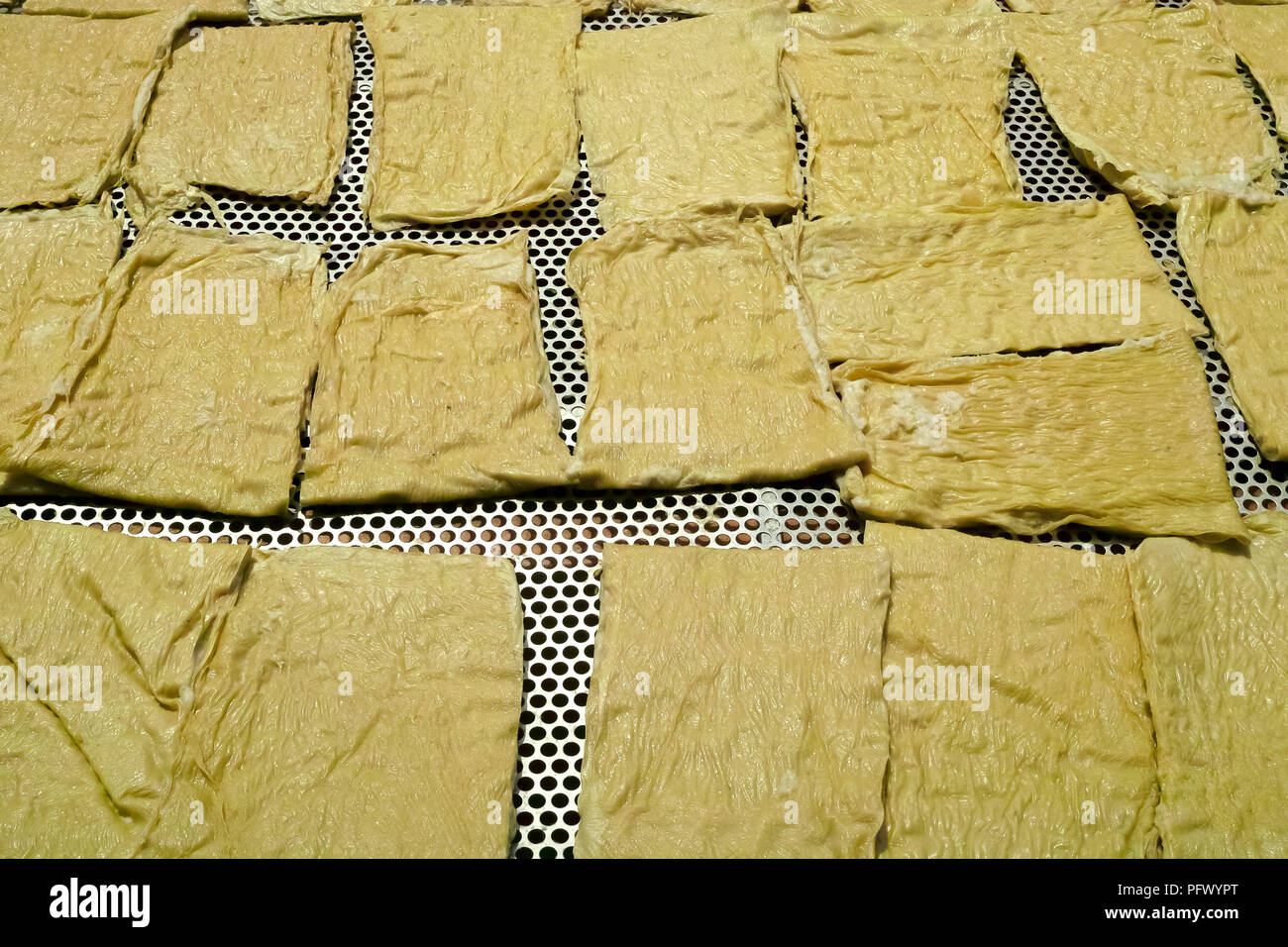 Piatti a base di frutti di mare freschi e di prodotti a base di pesce. Sekinchan villaggio di pescatori, la Malaysia peninsulare. Foto Stock