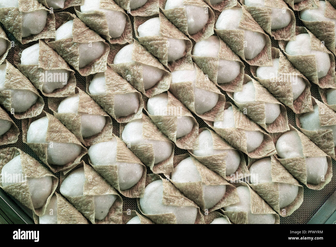 Piatti a base di frutti di mare freschi e di prodotti a base di pesce. Sekinchan villaggio di pescatori, la Malaysia peninsulare. Foto Stock