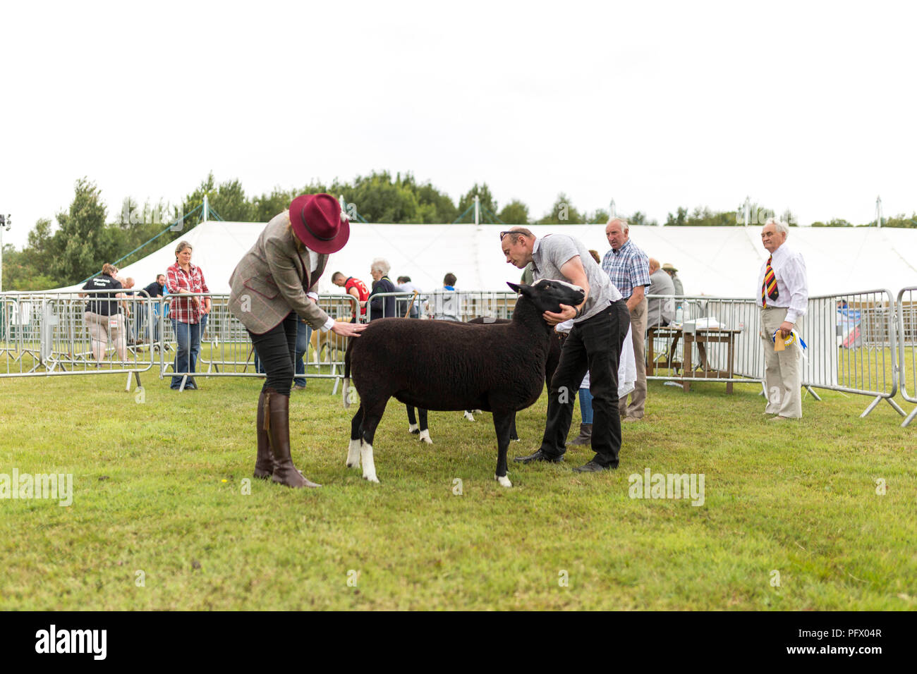 © Chris - Boll. 20/7/18 LANCASHIRE , Regno Unito. Royal Lancashire Show 2018 A Salesbury Hall , Ribchester , oggi (20 luglio 2018). Lo spettacolo viene eseguito da tod Foto Stock