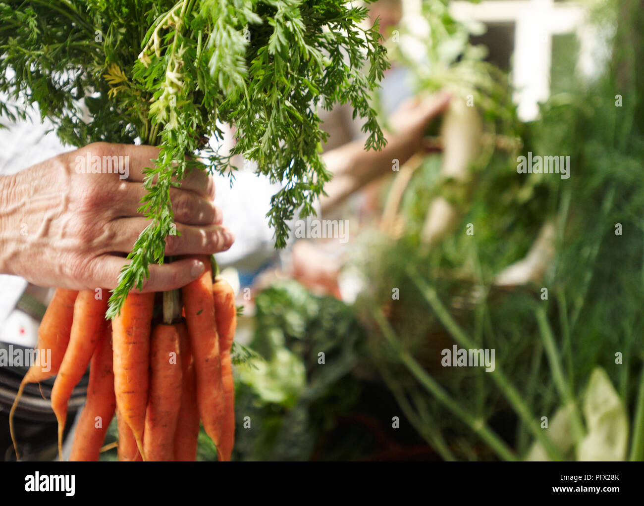 Prodotti biologici e le carote in un mercato. Foto Stock