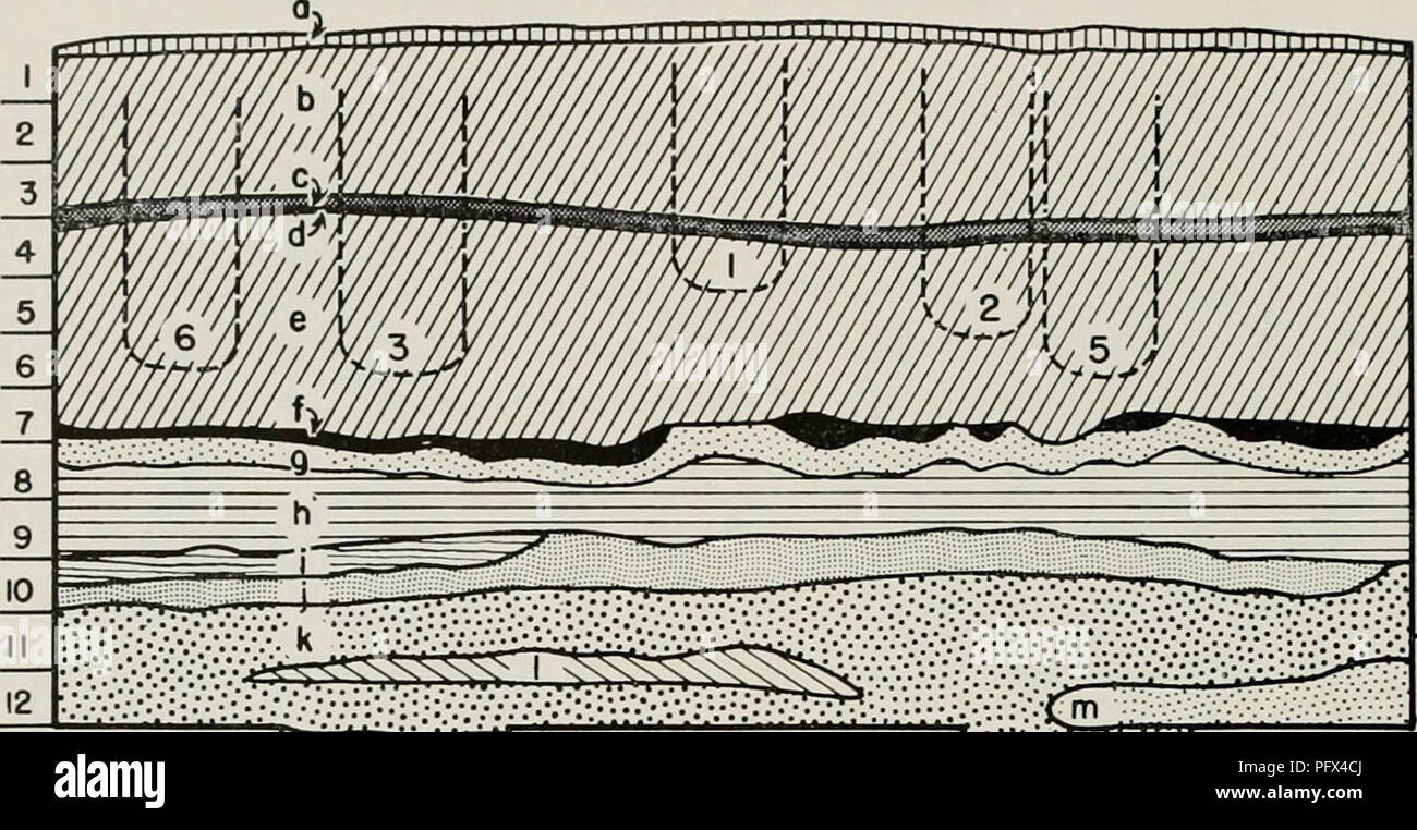 . Cronologia culturale e modificare come riflesso in ceramica della valle VirÃº, Perù. Pottery -- Viru Valley, Perù; tumuli -- Perù Viru Valley; Viru Valley, Perù -- Antichità. V-302A. È^ilJfeSS^SStt 13 14 15 16 ^^-^^. â ¢ â â .â â¢â¢â . â ''â â ' â la superficie del terreno a base del tumulo 3 Profilo di ^ sepoltura pit 0 I metri I II I N 742A ---^ (JO) B (6' X 760 (0 '''^: f5 ') (è;. {4"; (2) D '.14 } E (V (K' (è; 12 'Z) ,'-, C X 575 â . 'J3 metri i7i in Fig. 33. Profilo di scavo V-302A e piano di trincee V-302A-E. Le linee tratteggiate sul profilo e cerchi spezzati su piano indicano la sepoltura box, Foto Stock
