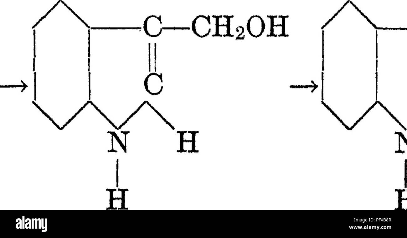 . Batteriologia e micologia degli alimenti. Il cibo. 244 batteri intestinali sono uniti con acido solforico in Uver per formare ethereal sul- phate. OH H-Ov /P H-0/ ^0 - 0 h / 0 /o Questo di solito è escreto come un sale di sodio o di potassio. La corruzione di triptofano. Hopkins e Cole hanno determinato le fasi nella decomposizione del triptofano da cellule. /^ C-cha-CH-C^OH -^ ^N C-cha-cha^C-OH-^ C NH: N H C N H triptofano -UJtl 2-UJtls Indol acido propionico / C / N C-CHs C /V C-H N C / N N H LUG Indol aceticS acido metil mdol (skatol) Indol il prodotto finale è metile indol o skatol. Per escrezione thi Foto Stock