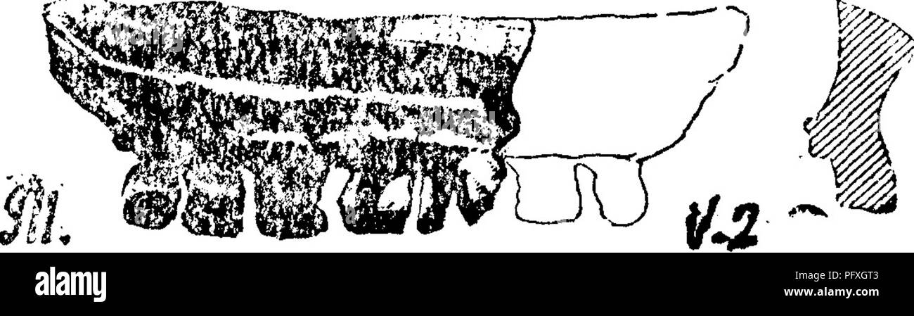 . Un dizionario dei fossili di Pennsylvania e gli Stati limitrofi denominato nelle relazioni e nei cataloghi del sondaggio ... Paleontologia. 733 poli. h, JO a.. vex faccia del pesce-dente, parzialmente ristrutturato nel profilo; J, pro- sezione file. Belleville, III, da calcare su carbone 5 (?); una piccola ex. di questa specie (?) di calcare su carbone 8.- XIII-XTf Polyrhizodus deutatus, Newberry &AMP; Worthen, Geo. Sur. 111., Vol. 2, 1866, pagina 60, la piastra 3, figg. 10, 10&GT;^ file del solo completo piccolo dente trovata, M con frammenti di altri, in tne Cleveland Pc^r'Ohll.!'' II, ^5s), scisto, Bedfor Foto Stock