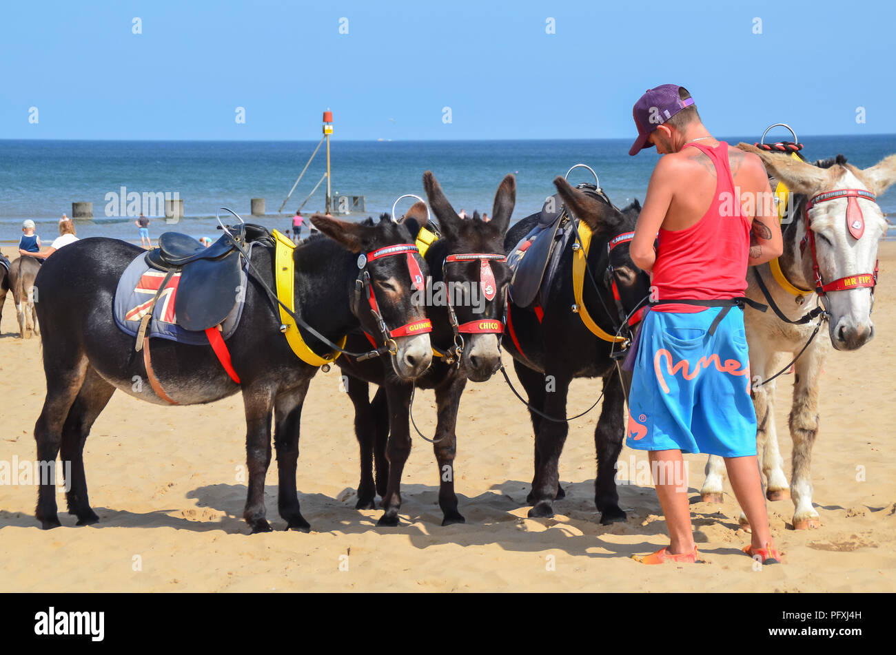 Spiaggia Donkey Rides a Mablethorpe Foto Stock