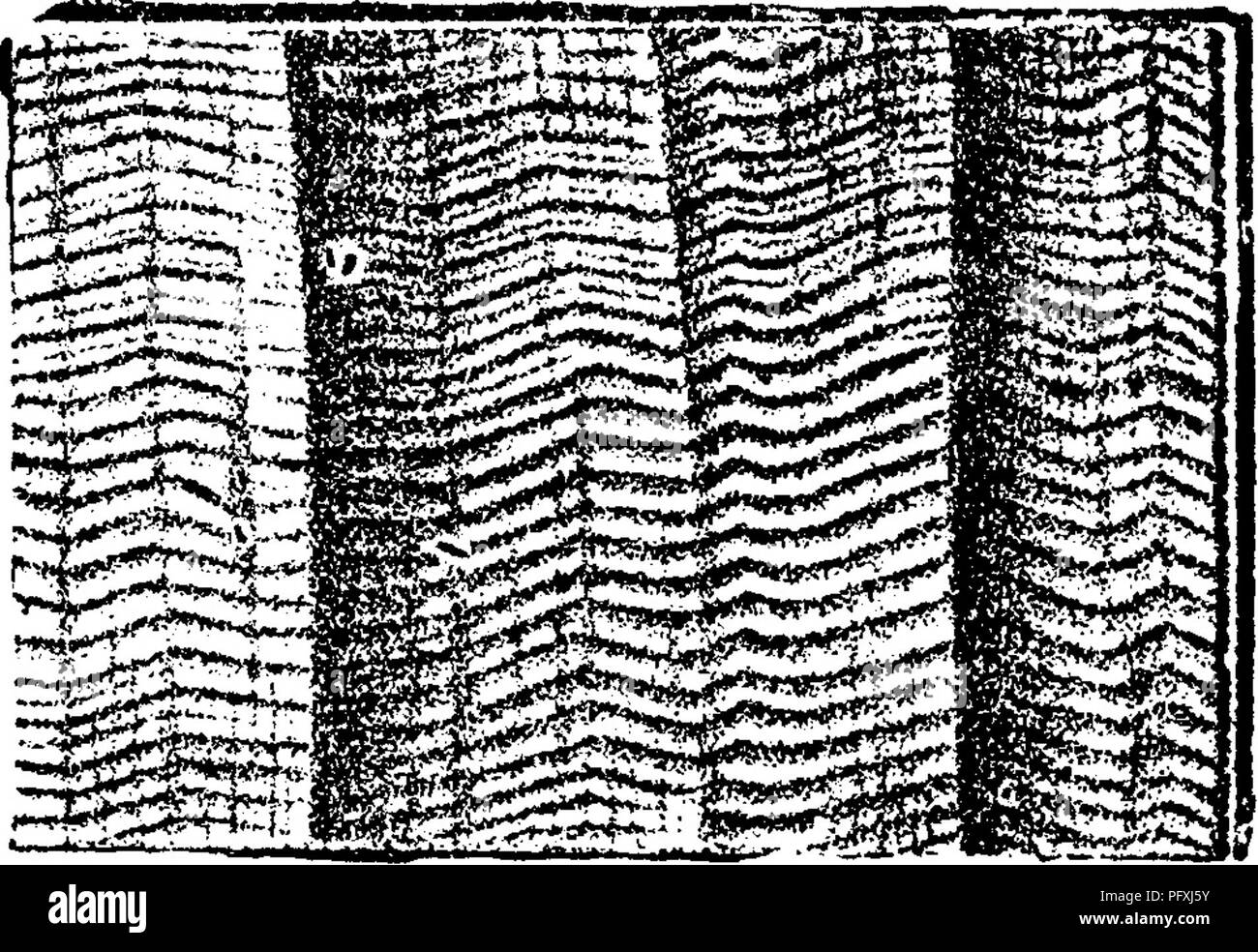 . Un dizionario dei fossili di Pennsylvania e gli Stati limitrofi denominato nelle relazioni e nei cataloghi del sondaggio ... Paleontologia. 23^pE^. Orthoceras caelamen (in parte uguale 0, nuntium^ e 0, crotahcm^ che vedere.) Hall, Pal. N. Y. 1879, pagina 298. pi. 113, f. 23, pi. 43, f. 15; dif- fering dalle altre due specie in orna- attuazione, la frequenza di squilli, ecc. Carni di montone- ville e Moravia, N. Y. Hamilton.-In Pennsylvania, andare? P. 235, Marshall's Creek, Monroe Co. F. &AMP; G. collezioni, Spec. 804-52, 804-63, in Hamilton led, VIII c Orthoceras capitolinum, SnfFord Geol. Tennessee 1869, pagina. Pl Foto Stock