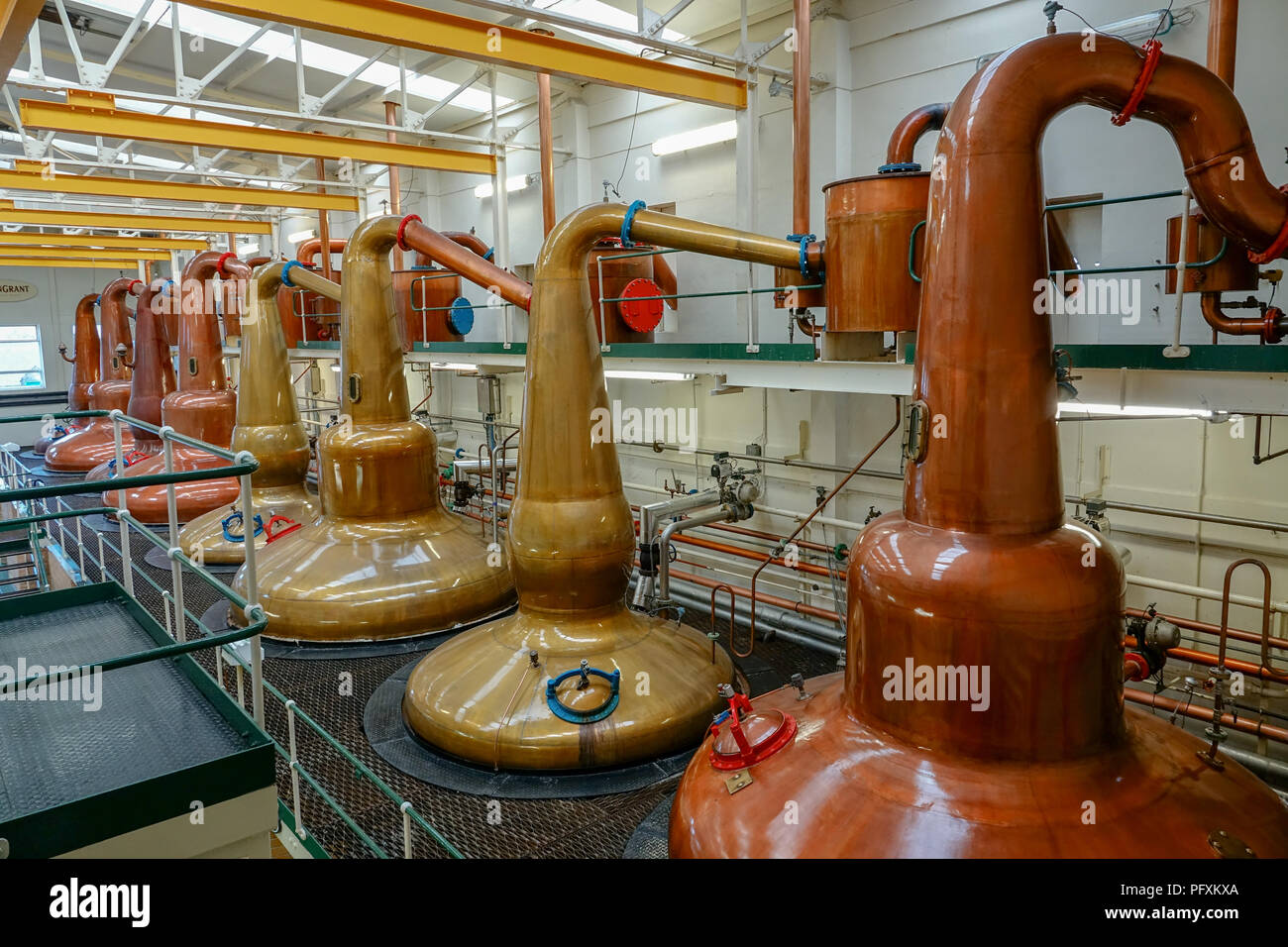 Alambicchi di whiskey al Glen Grant Distillery nelle highlands, Scozia Foto Stock