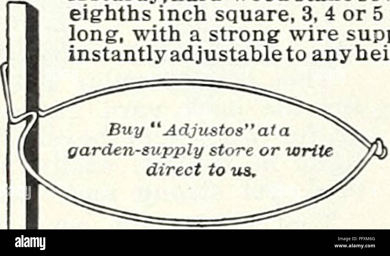 Questo catalogo per il 1934 mette in evidenza varie piante, bulbi e semi disponibili per il giardinaggio, con particolare attenzione alle piante vegetali e ornamentali. Comprende attrezzi da giardinaggio e supporti per piante. Foto Stock Questo catalogo per il 1934 mette in evidenza varie piante, bulbi e semi disponibili per il giardinaggio, con particolare attenzione alle piante vegetali e ornamentali. Comprende attrezzi da giardinaggio e supporti per piante. Foto Stock