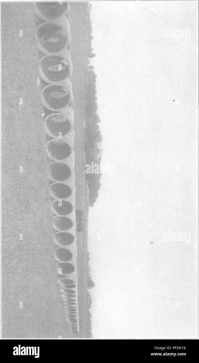 . Ingegneria per drenaggio terreni. Un manuale per la posa e la costruzione di fognature per il miglioramento dei terreni agricoli. Il drenaggio. H t-I H I >^ o ^^ l-H H r rri "-( 5 H o HO-RI > <. Si prega di notare che queste immagini vengono estratte dalla pagina sottoposta a scansione di immagini che possono essere state migliorate digitalmente per la leggibilità - Colorazione e aspetto di queste illustrazioni potrebbero non perfettamente assomigliano al lavoro originale. Elliott, Charles Gleason, 1850-1926. New York, J. Wiley Foto Stock