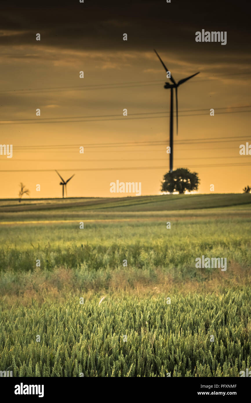 Fine di una giornata in una zona rurale con i campi e la turbina eolica Foto Stock