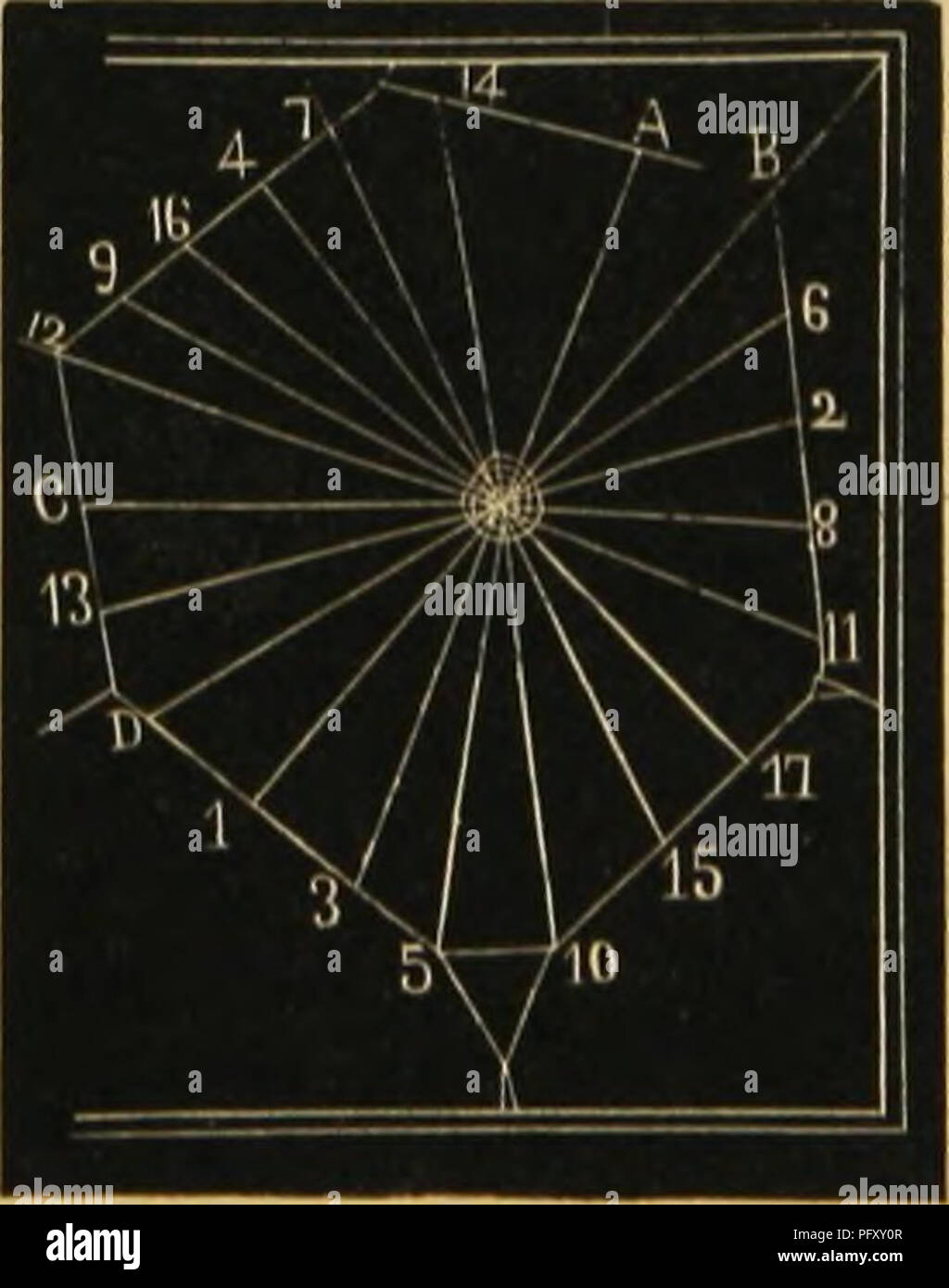 . Ragni americani e il loro lavoro di filatura. Una storia naturale dell'orbweaving ragni degli Stati Uniti, con speciale riguardo alla loro industria e abitudini. Ragni. Fid. 71. Raggio PuttitlK. linee wliicli net dello spazio chiuso hanno un tale entan- glement delle con guidon sfera come per il rinforzo è sufficientemente dal di sotto, il spidei; invece di cadere verso il basso può prima di salire il raggio a, recante una filettatura libera in una delle sue zampe posteriori che è tenuto molto bene dal raggio per tliis scopo come mostrato in Fig. 71. "Quando un desiderato punto di attacco, come K, è stato raggiunto, il deportare Foto Stock