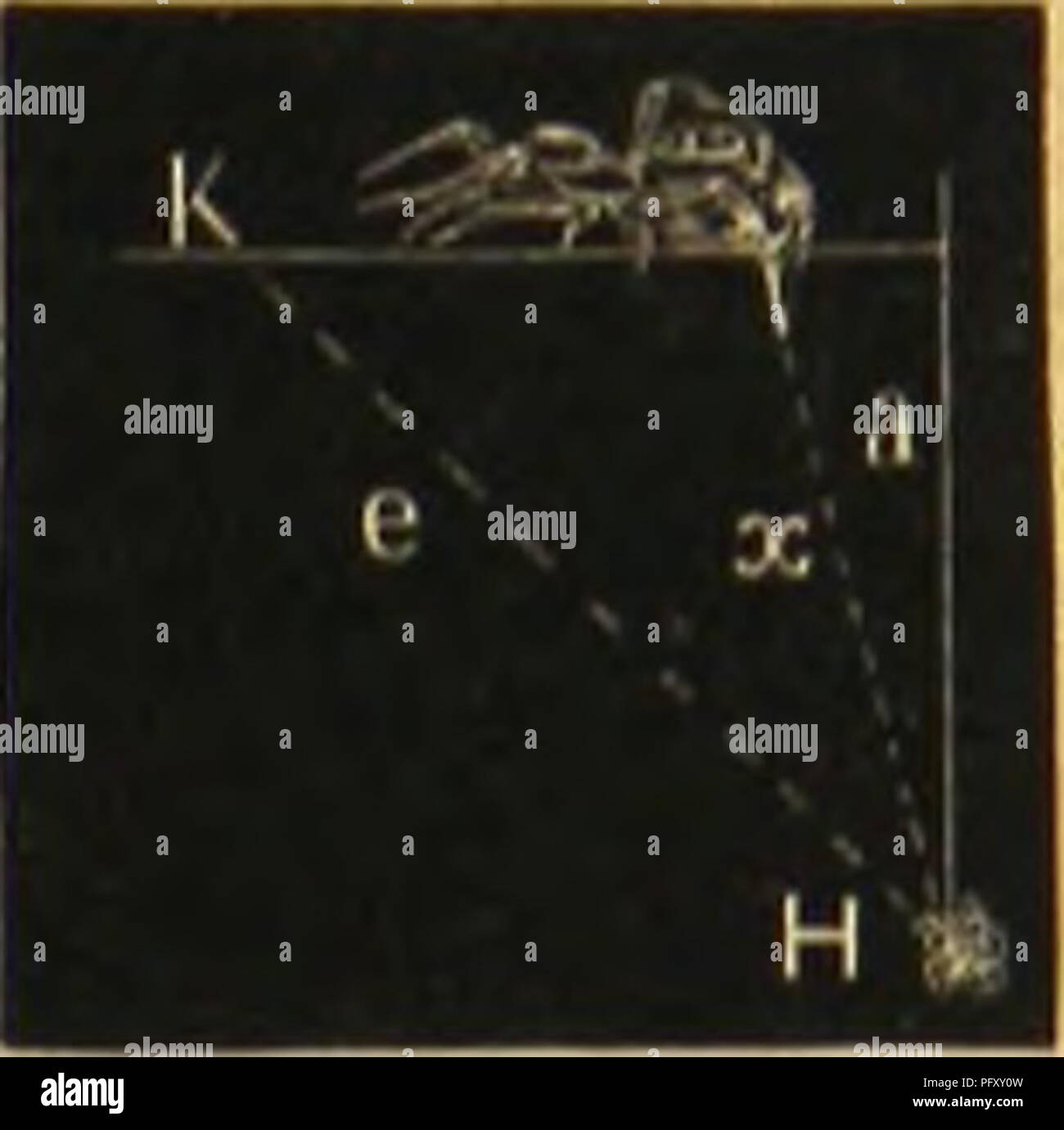 . Ragni americani e il loro lavoro di filatura. Una storia naturale dell'orbweaving ragni degli Stati Uniti, con speciale riguardo alla loro industria e abitudini. Ragni. Costruzione Ol'' UN OKIUVUB. 75. Fid. 71. Raggio PuttitlK. linee wliicli net dello spazio chiuso hanno un tale entan- glement delle con guidon sfera come per il rinforzo è sufficientemente dal di sotto, il spidei; invece di cadere verso il basso può prima di salire il raggio a, recante una filettatura libera in una delle sue zampe posteriori che è tenuto molto bene dal raggio per tliis scopo come mostrato in Fig. 71. "Quando un desiderato punto di attacco, Foto Stock