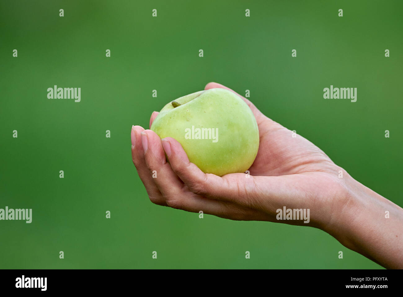 Donna di mano azienda apple Foto Stock