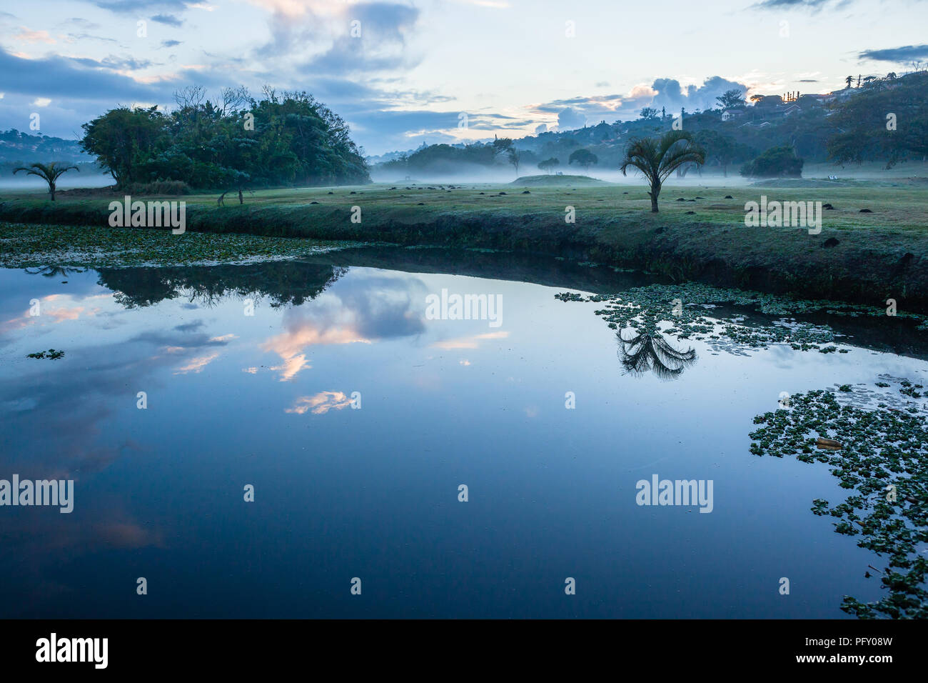 Campo da Golf alba di fori per l'acqua alberi nebbia panorama della valle Foto Stock