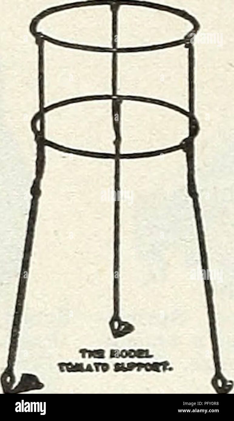 Un catalogo della Currie Brothers Co., Milwaukee, con una varietà di semi e attrezzature per il giardinaggio. Comprende piante ornamentali, verdure, bulbi e strumenti di giardinaggio specializzati come zoccoli e supporti per pomodori inglesi importati. Il catalogo mette in evidenza strumenti pratici e piante per gli appassionati di giardinaggio nel 1931. Foto Stock Un catalogo della Currie Brothers Co., Milwaukee, con una varietà di semi e attrezzature per il giardinaggio. Comprende piante ornamentali, verdure, bulbi e strumenti di giardinaggio specializzati come zoccoli e supporti per pomodori inglesi importati. Il catalogo mette in evidenza strumenti pratici e piante per gli appassionati di giardinaggio nel 1931. Foto Stock