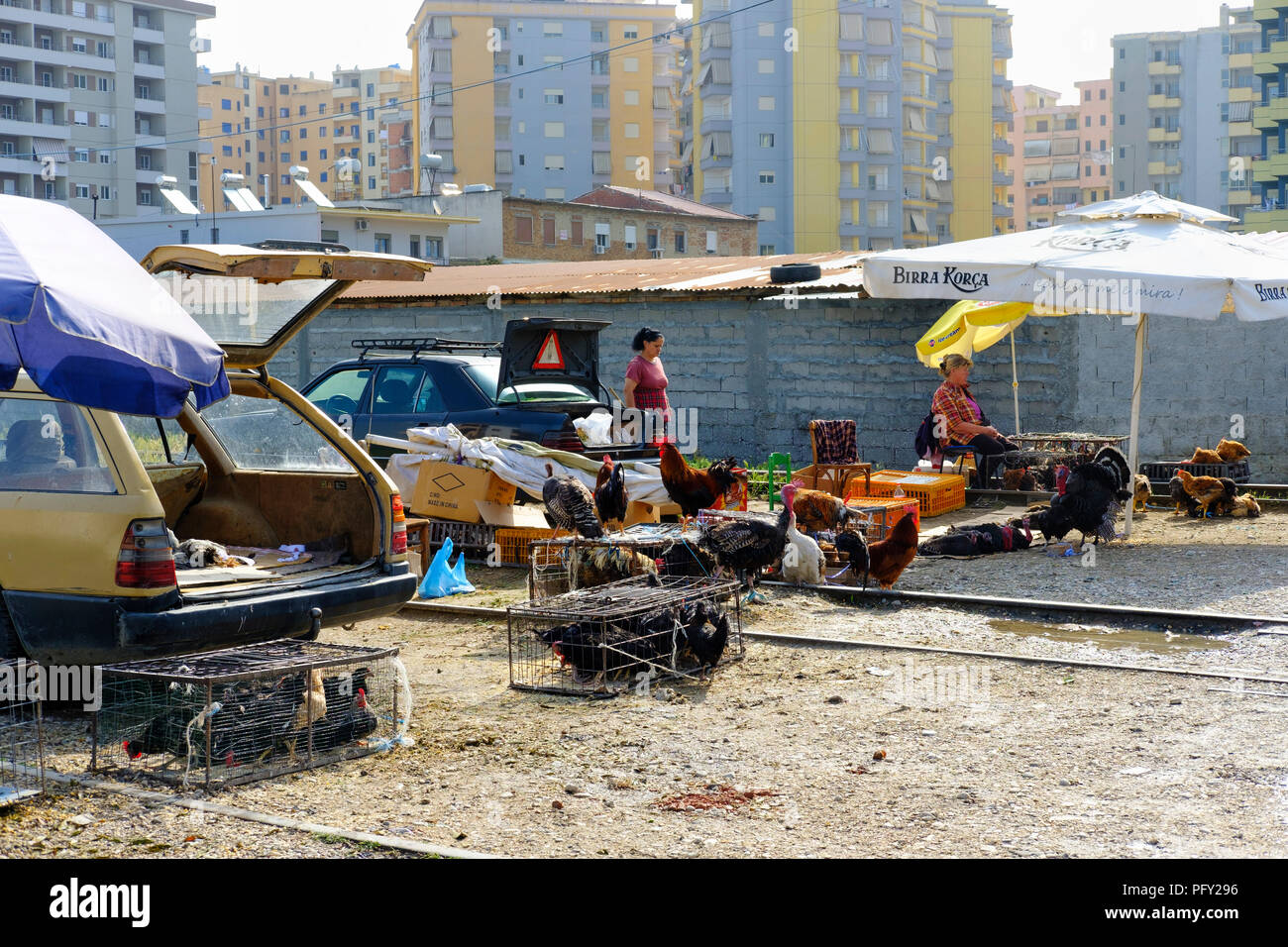 Polli in gabbie per la vendita, sul mercato improvvisato, Fier, Qarier Fier, Albania Foto Stock