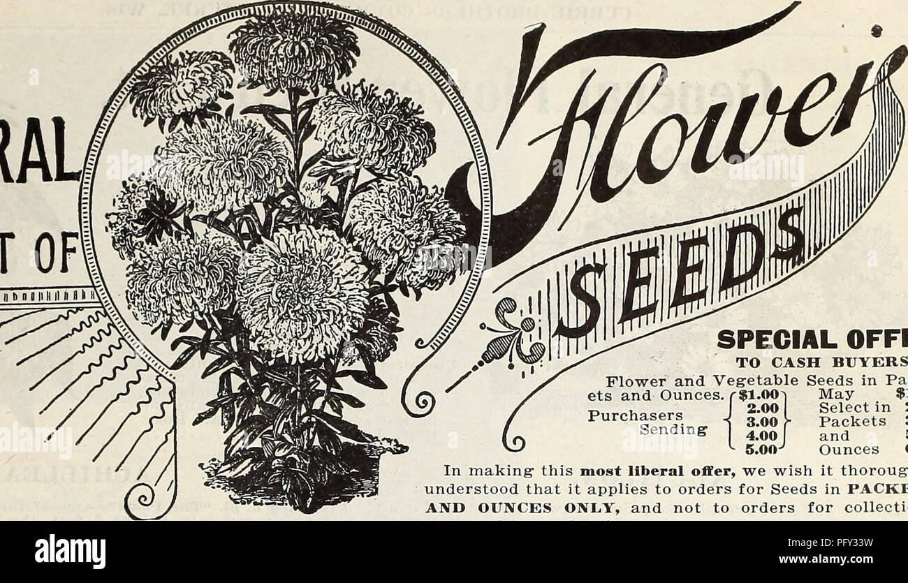 . Currie's farm e giardino : annuale di primavera 1914. Semi di fiori di cataloghi; lampadine (piante) Semi cataloghi; semi di ortaggi cataloghi; Vivai (orticoltura) cataloghi; piante ornamentali, cataloghi; attrezzature da giardinaggio e i cataloghi dei materiali di consumo. EHERAlj elenco di 110 &gt; IH l' lin IIIII H H li) III H I"1 " I " I " IMMHJX^ tutti i semi di fiori consegnati gratuitamente per posta. Offerta speciale per gli acquirenti in contanti. Fiore e semi di ortaggi in Pack- ste e once. f$1.00-| Maggio $1,25 x, . 2.00 selezionare in 2,80 acquirenti J 3 00 L pacchetti 3.95 4.00 e 5.30 5.00-1 Once 6,65 nel rendere questo più liberali offrono, vogliamo Foto Stock