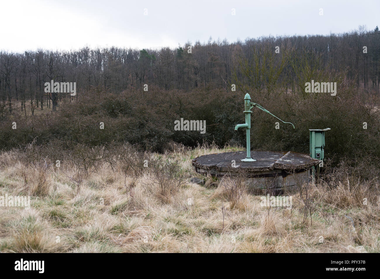 La vecchia pompa con foresta sfrondato, penuria d acqua scarsità concept Foto Stock