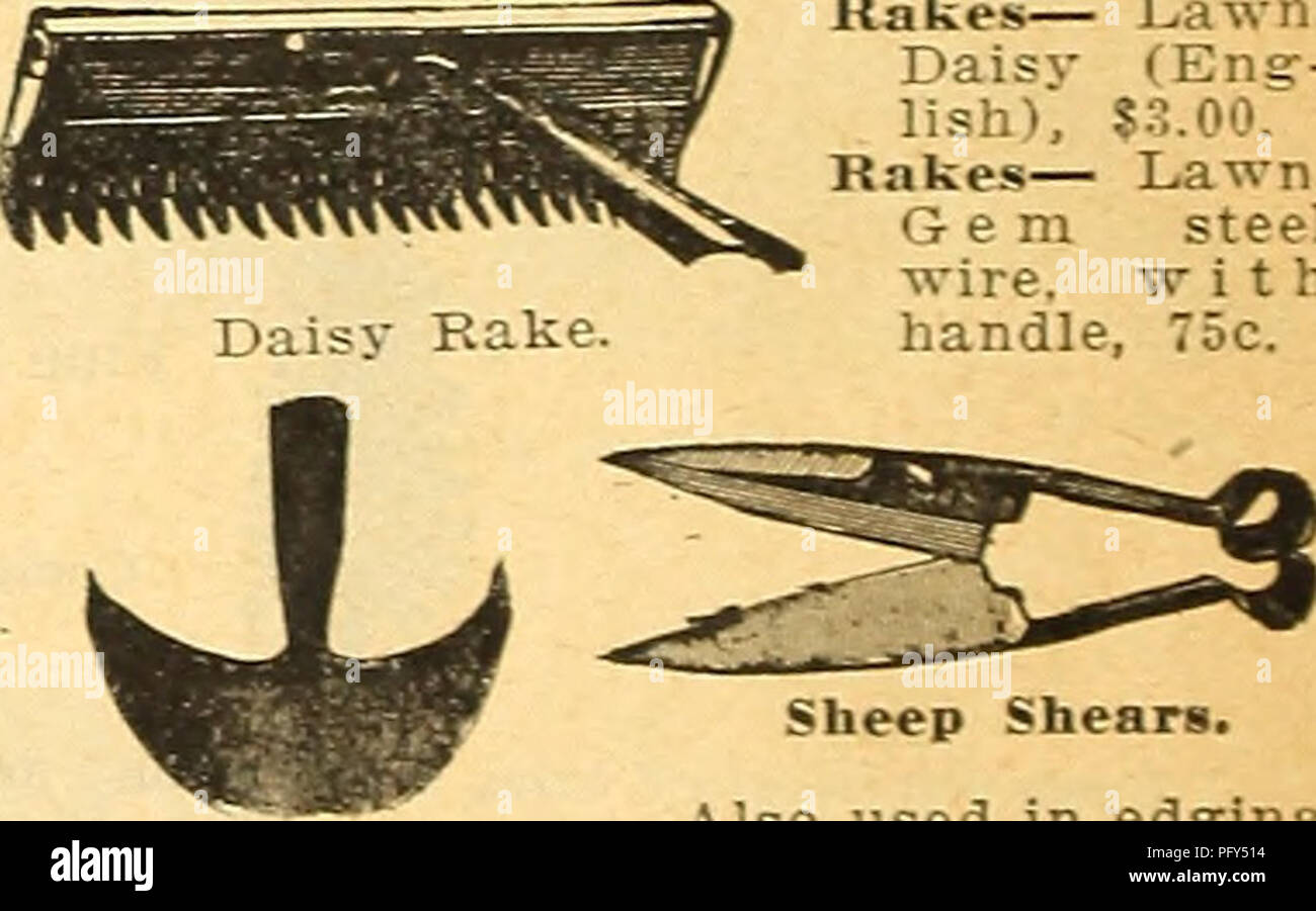 Il "Currie's Farm and Garden Annual" del 1918 fornisce un catalogo completo di sementi, bulbi e articoli per il giardinaggio. Include descrizioni dettagliate di fiori, verdure e piante ornamentali, oltre a attrezzature come il rastrello autopulente del dente di leone. Questo catalogo è una risorsa essenziale per i giardinieri e gli agricoltori alla ricerca di sementi e attrezzi di qualità per i loro giardini e le loro aziende agricole. Foto Stock