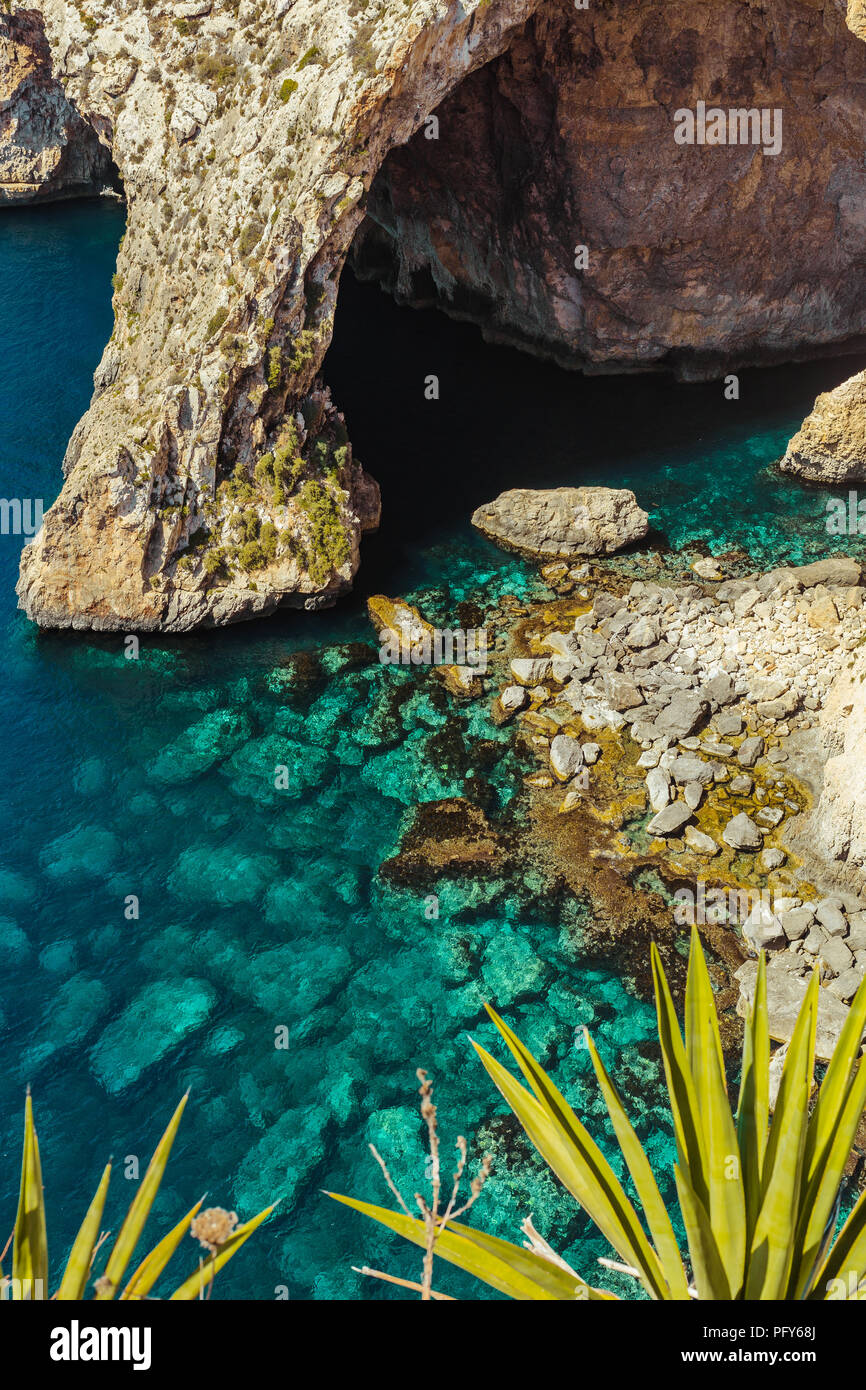 Acqua tropicale in Malta. Verticale, rocce, mare e piante Foto Stock