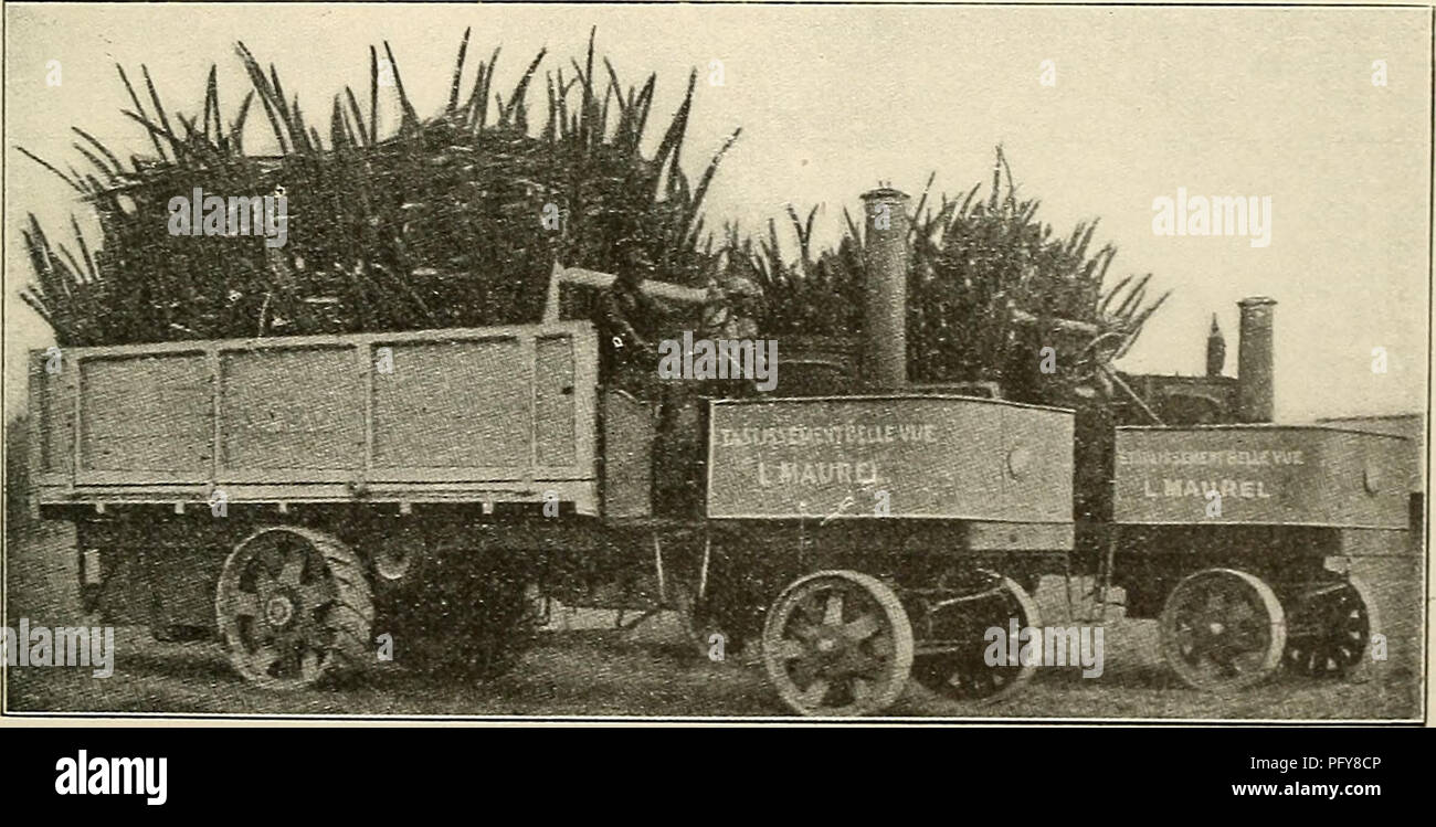 Questa rassegna si concentra sulle varie industrie di Cuba, tra cui l'industria del bestiame e della lavorazione del legno, nonché sulla coltivazione di agrumi e verdura. Mette in evidenza le tecniche agricole americane nella regione, sottolineando il crescente successo delle esposizioni agricole a Cuba. Foto Stock