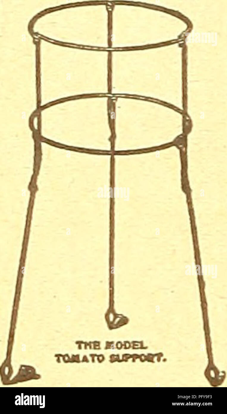 Questo catalogo annuale della Currie's Farm and Garden offre una varietà di attrezzi da giardino, semi e attrezzature per la stagione primaverile 1924. Comprende una selezione di potatrici, sostegni per pomodori e accessori per piante, che soddisfano le esigenze dei giardinieri durante i primi anni del XX secolo. Foto Stock Questo catalogo annuale della Currie's Farm and Garden offre una varietà di attrezzi da giardino, semi e attrezzature per la stagione primaverile 1924. Comprende una selezione di potatrici, sostegni per pomodori e accessori per piante, che soddisfano le esigenze dei giardinieri durante i primi anni del XX secolo. Foto Stock